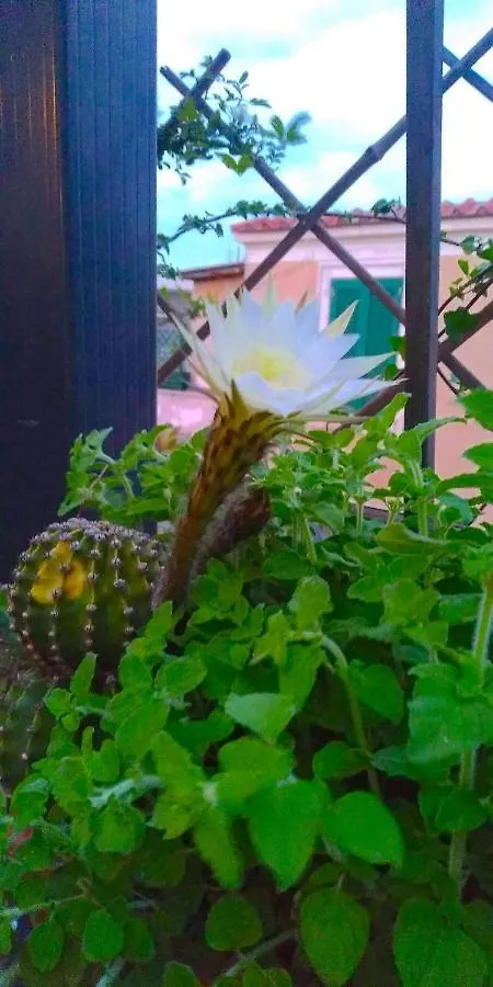 Appartamento Fiore Rome Italy