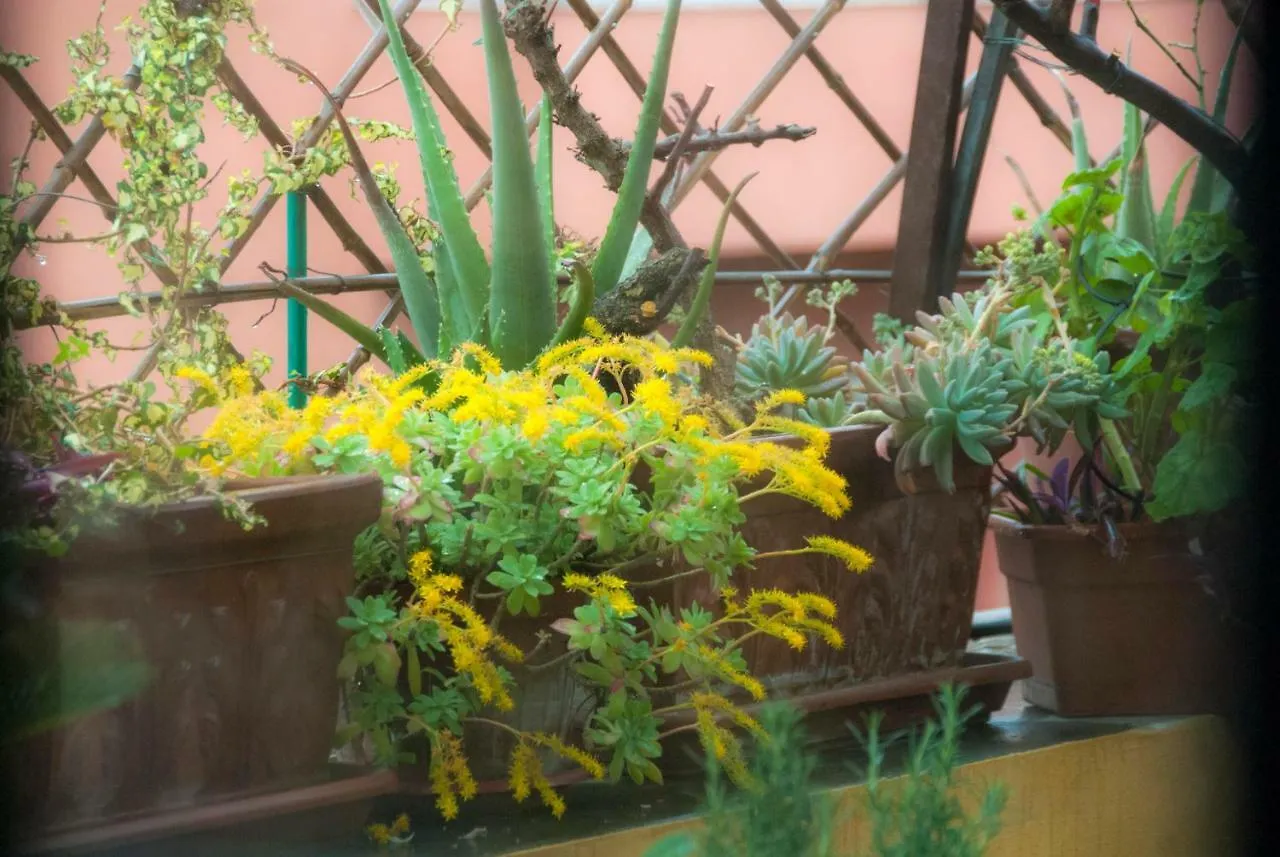 Appartamento Fiore Rome Apartment